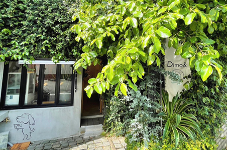 Dimo&店舗写真