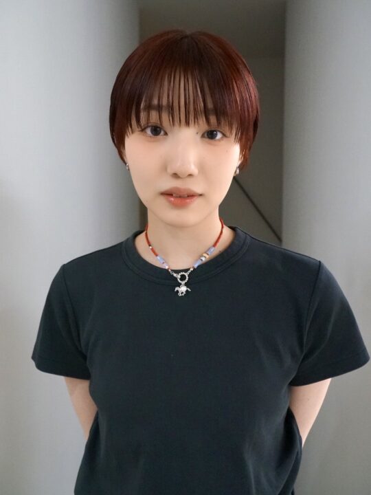 ラスト★新品未使用★HairRepro Z Premium [イタリアンレッド] cherry red｜ヘアカタログ｜アリミノヘアカタログ｜IROTRIP（イロ