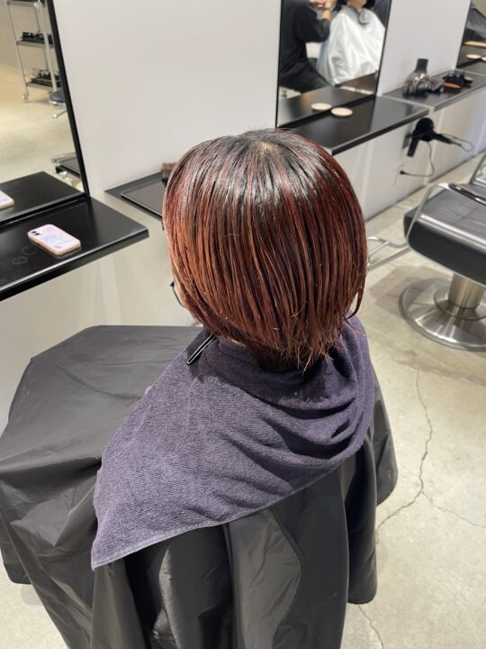 cherry red｜ヘアカタログ｜アリミノヘアカタログ｜IROTRIP（イロ